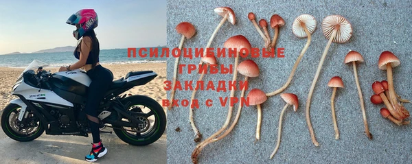 кокс Алексеевка