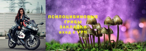 бошки Алзамай