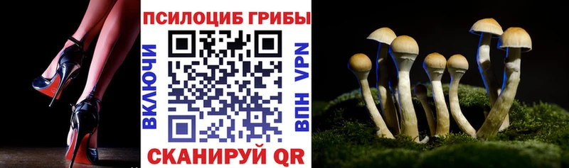 Галлюциногенные грибы прущие грибы  Чёрмоз 